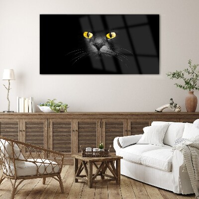 Glasbild Goldene Augen einer Katze im Schatten