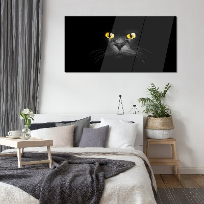 Glasbild Goldene Augen einer Katze im Schatten