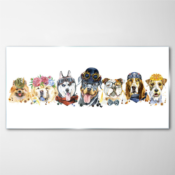 Foto glasbild Hunde in modischen Accessoires