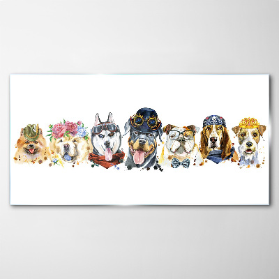 Foto glasbild Hunde in modischen Accessoires