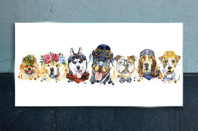 Foto glasbild Hunde in modischen Accessoires