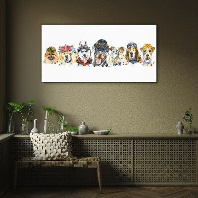 Foto glasbild Hunde in modischen Accessoires