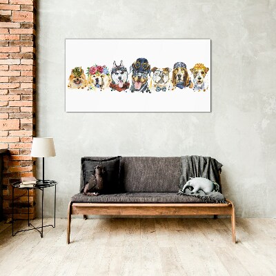 Foto glasbild Hunde in modischen Accessoires