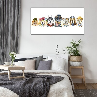 Foto glasbild Hunde in modischen Accessoires