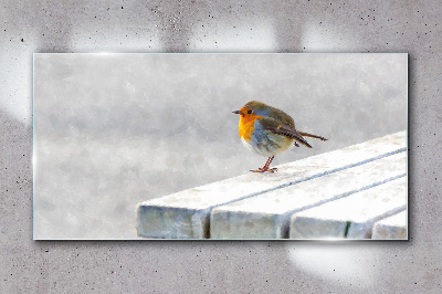 Bild auf glas drucken Robin auf einer weißen Tafel
