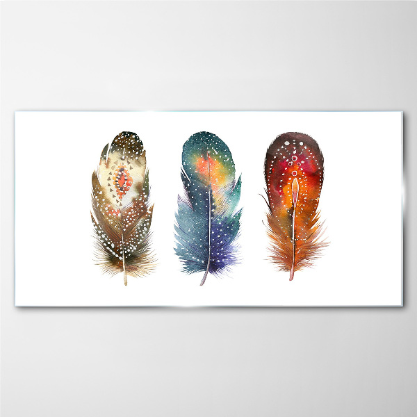 Glasbild Bunte Federn