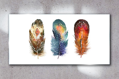 Glasbild Bunte Federn