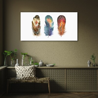 Glasbild Bunte Federn