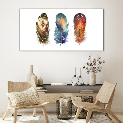 Glasbild Bunte Federn