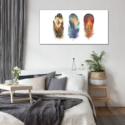 Glasbild Bunte Federn