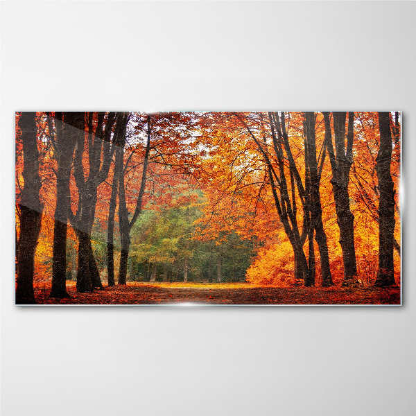 Foto auf glas Herbstliche Baumallee