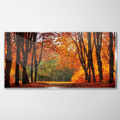 Foto auf glas Herbstliche Baumallee