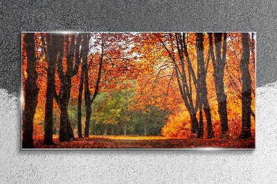 Foto auf glas Herbstliche Baumallee