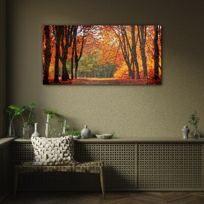 Foto auf glas Herbstliche Baumallee