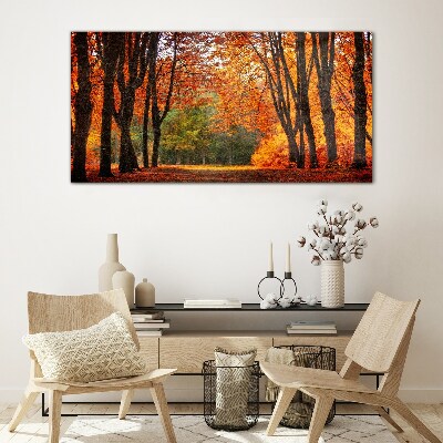 Foto auf glas Herbstliche Baumallee