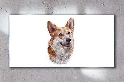 Glasbild Porträt eines fröhlichen Corgi-Hundes