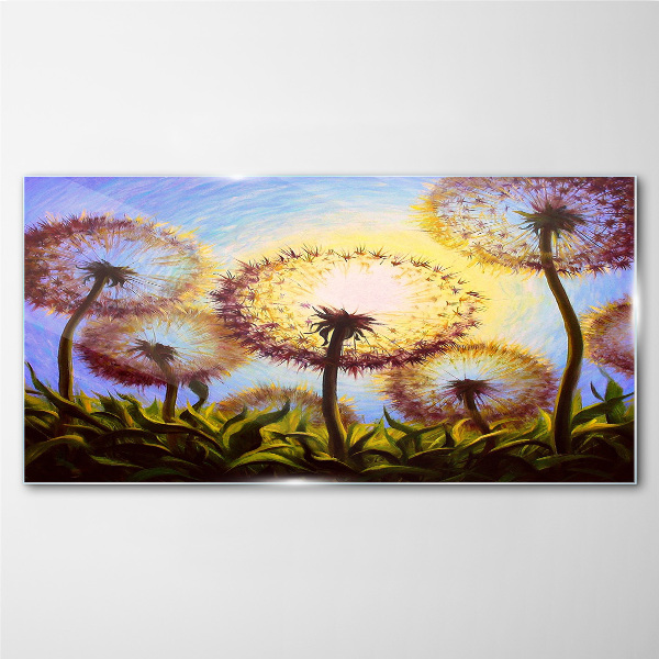 Glasbild Goldener Löwenzahn im Sonnenlicht