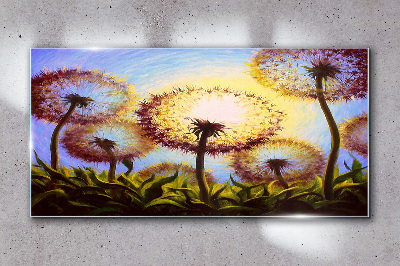 Glasbild Goldener Löwenzahn im Sonnenlicht
