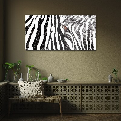 Glasbild Zebra im monochromen Stil