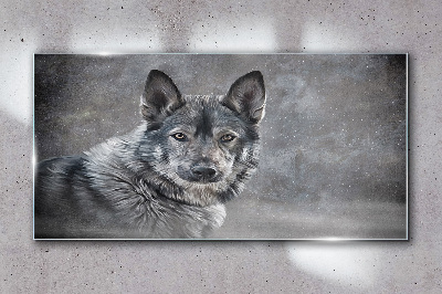 Glasbild Porträt eines grauen Hundes