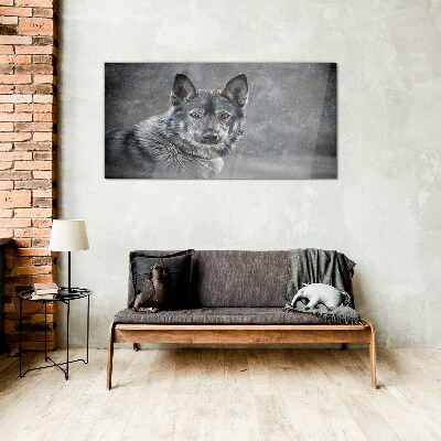 Glasbild Porträt eines grauen Hundes