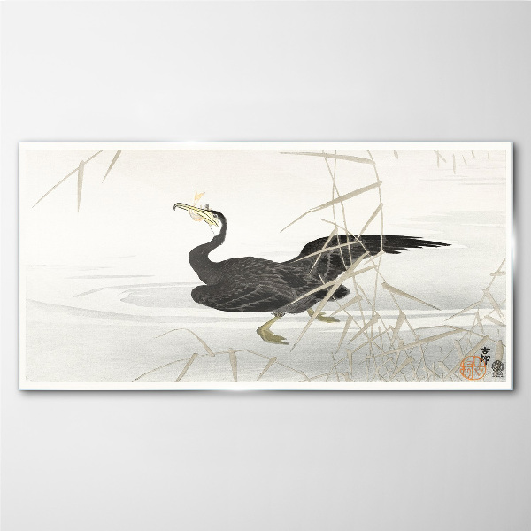 Glasbild Schwarzer Kormoran im Schilf
