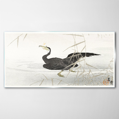 Glasbild Schwarzer Kormoran im Schilf