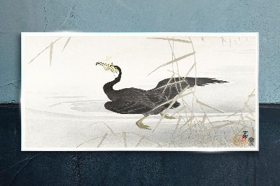 Glasbild Schwarzer Kormoran im Schilf