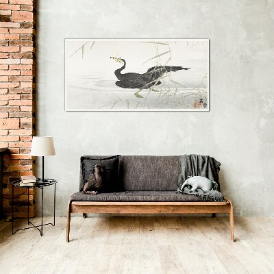 Glasbild Schwarzer Kormoran im Schilf