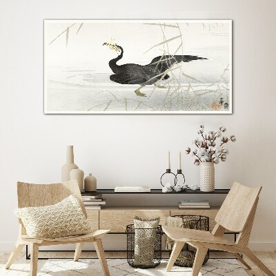 Glasbild Schwarzer Kormoran im Schilf