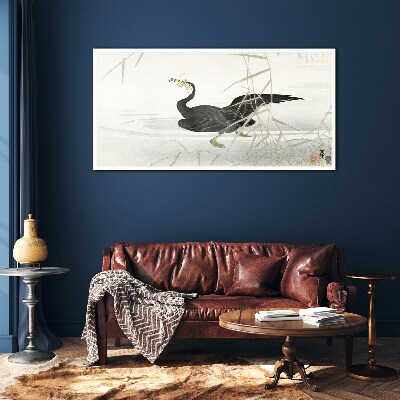 Glasbild Schwarzer Kormoran im Schilf