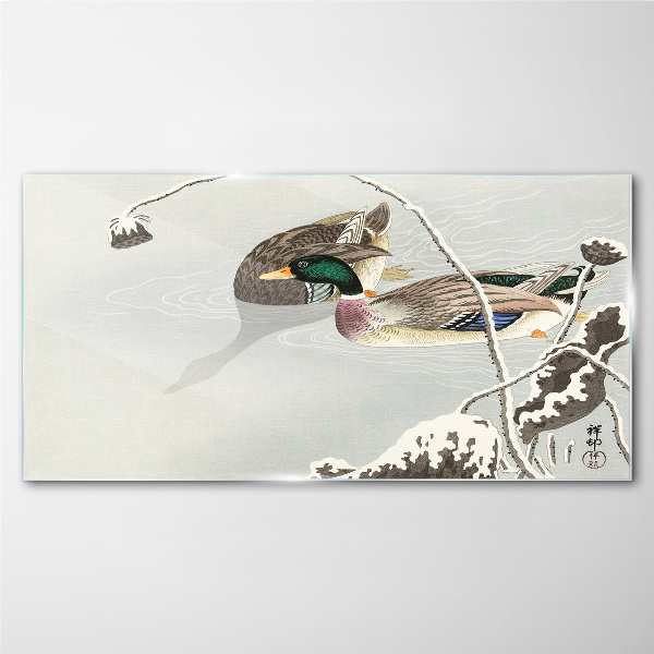 Glasbild Eine friedliche Szene mit Enten