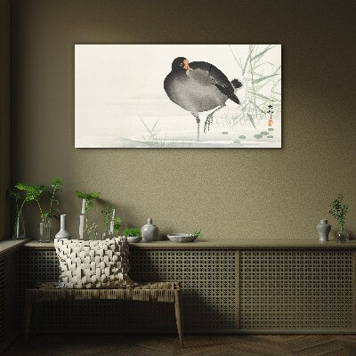 Foto auf glas Vogel auf dem Grashintergrund
