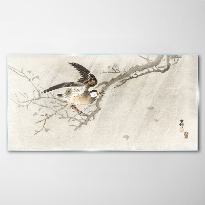Glasbild Vogel auf einem Ast