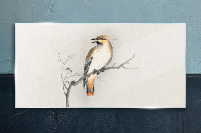 Bild auf glas Singender Vogel auf einem Ast