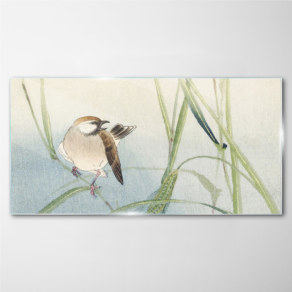Glasbild Eine Meise gegen das Gras