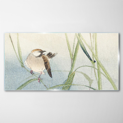 Glasbild Eine Meise gegen das Gras