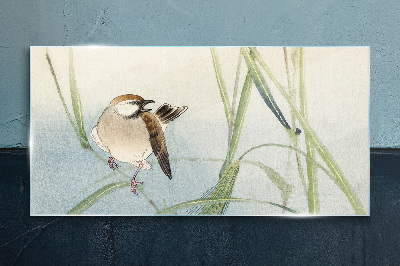 Glasbild Eine Meise gegen das Gras