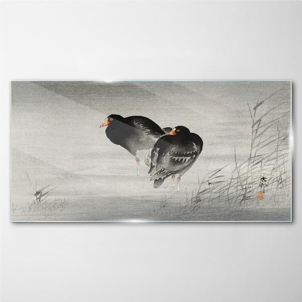 Glasbild Zwei Enten auf ruhigem Wasser