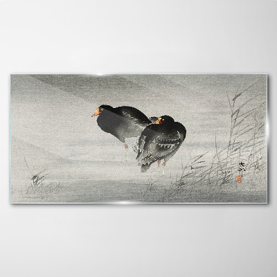 Glasbild Zwei Enten auf ruhigem Wasser