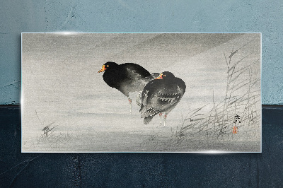 Glasbild Zwei Enten auf ruhigem Wasser