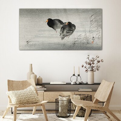 Glasbild Zwei Enten auf ruhigem Wasser