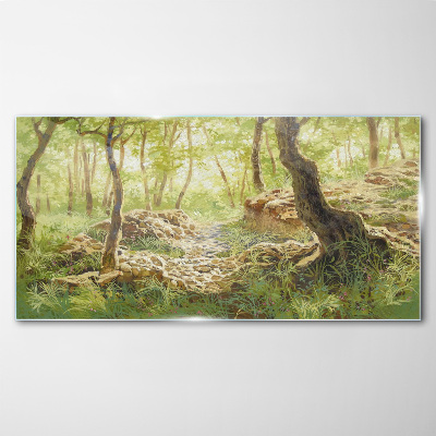 Glasbild Grüne Waldlandschaft mit Steinen