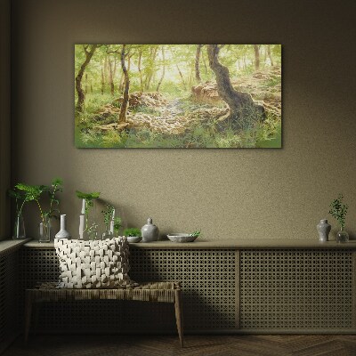 Glasbild Grüne Waldlandschaft mit Steinen