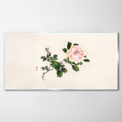Glasbild Pfingstrose Blume auf einem hellen Hintergrund