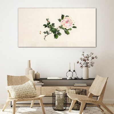 Glasbild Pfingstrose Blume auf einem hellen Hintergrund