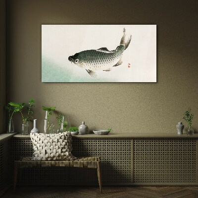 Foto auf glas Tiere Fische