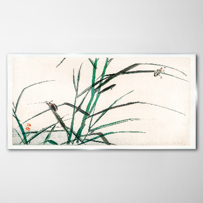 Glasbild Gräser und Insekten im Einklang