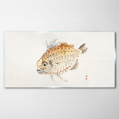 Glasbild Goldfisch auf weißem Hintergrund