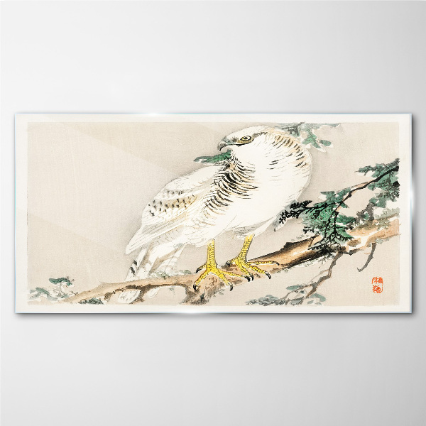 Glasbild Falke auf einem Ast